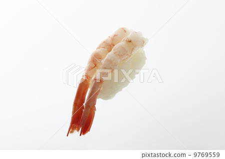 Shrimp 9769559