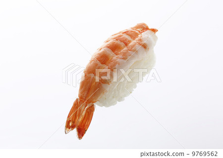 Shrimp 9769562