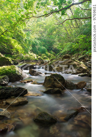 Yanbaru（長谷川）清除潮流 9769681