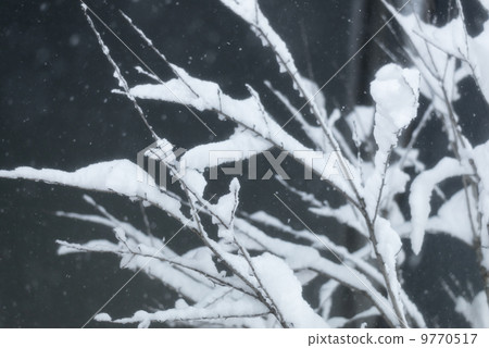 雪景 雪景 9770517