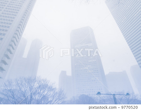 Shinjuku Snow 9770520