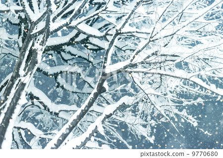 與雪的樹 9770680