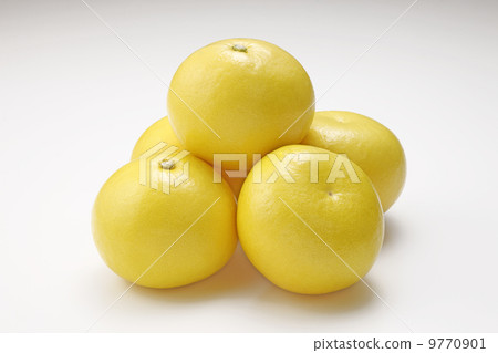 高知縣的Sencha 9770901