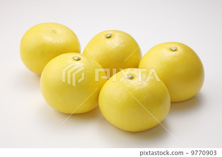 高知縣的Sencha 高知縣的Sencha 9770903