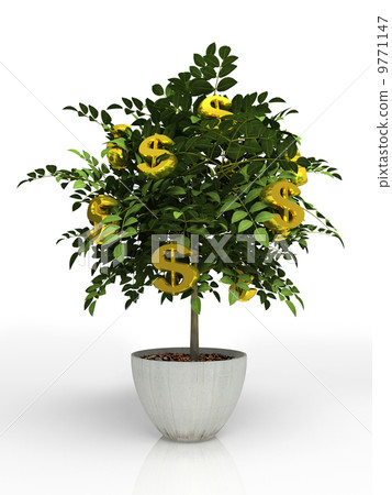 Money tree in flowerpot isolated on white background 9771147
