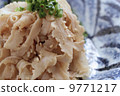 Local cuisine with Fukuoka with vinegar 9771217