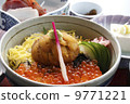 Fukushima Prefecture Onahama's specialties Sea-grilled rice bowl 9771221