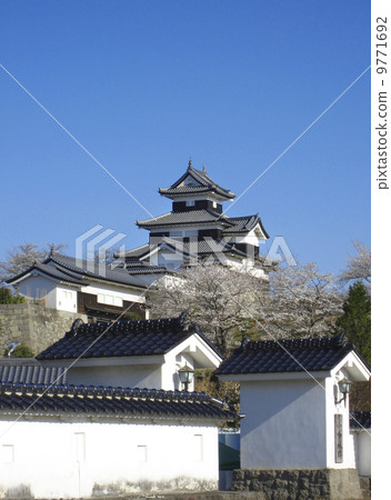 Sakura and Komine Castle 9771692