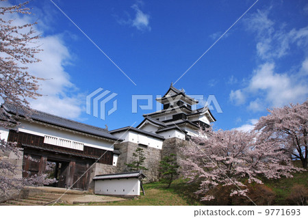 Sakura and Komine Castle 9771693