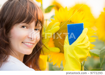 Woman cleaning sunflower 9772293