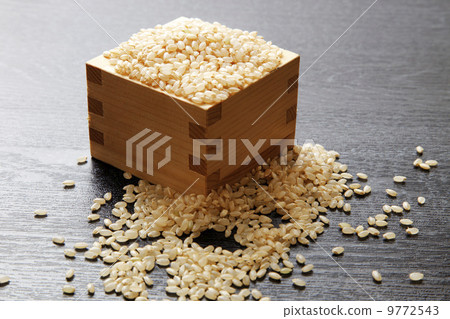 Brown rice 9772543