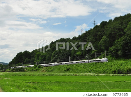 Aozora rice paddy railway Aozora rice paddy railway 9772665