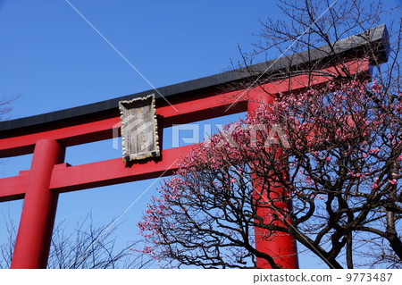 February area of Japan · Kanto 116 Kameido Tenjin 9773487