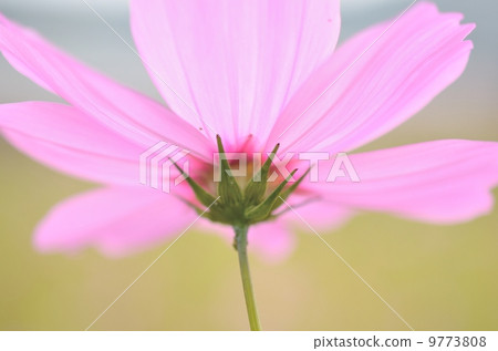 From the bottom of the cosmos 9773808