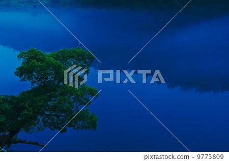 Morning Mist River Morning Mist River 9773809