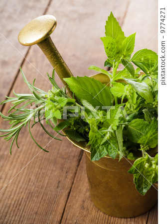 Fresh herbs Fresh herbs 9774271