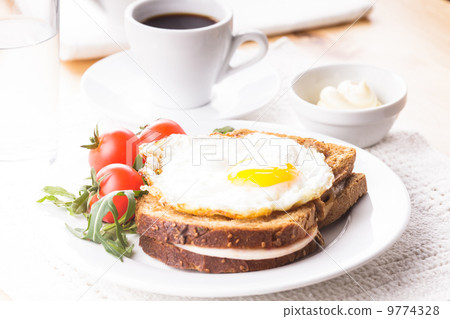 Croque Madame 9774328