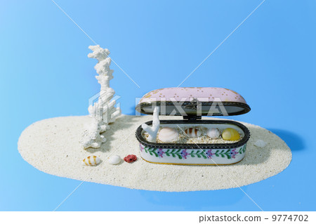 在沙質首飾盒的貝殼 在沙質首飾盒的貝殼 9774702