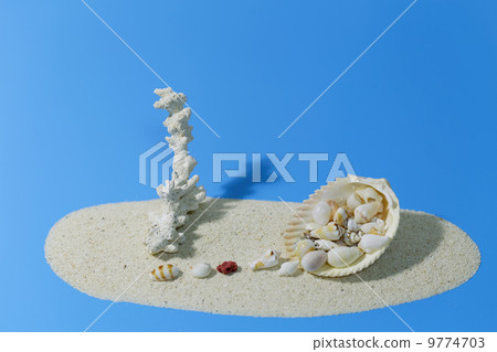貝殼和珊瑚在沙灘上 9774703