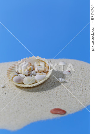 在沙灘上的貝殼 在沙灘上的貝殼 9774704