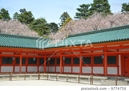 春天的京都平安神宮 春天的京都平安神宮 9774758