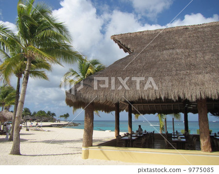 Chankanaab National Park Attractions 9775085