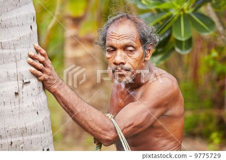Coconut man 9775729