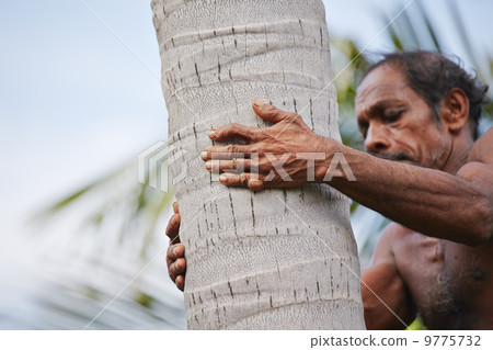 Coconut man 9775732
