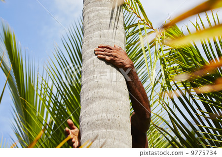 Coconut man Coconut man 9775734