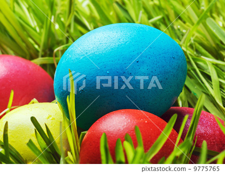 Easter Eggs on Green Grass 9775765