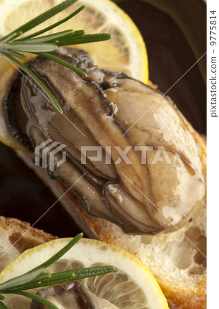 牡蠣醃製油 牡蠣醃製油 9775814