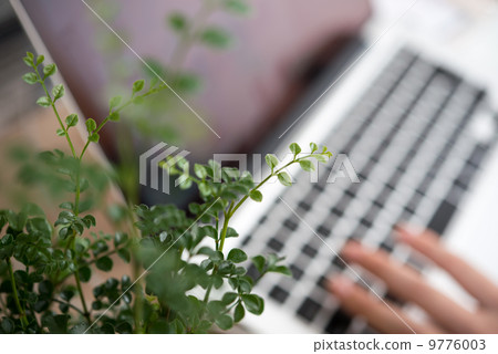 Plant plant laptop computer 9776003