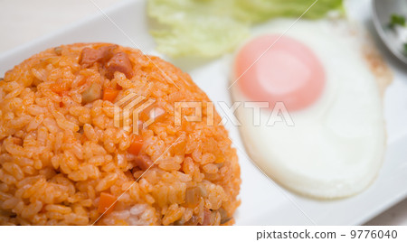 chicken rice chicken rice 9776040