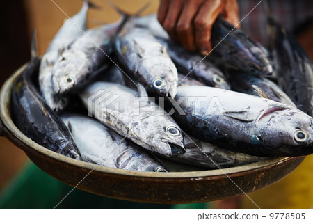 Fish market 9778505