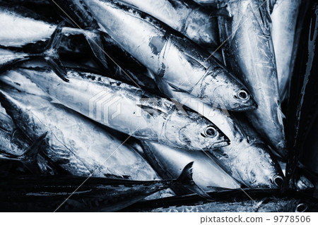Fish market 9778506