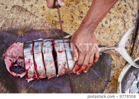 Fish market 9778508