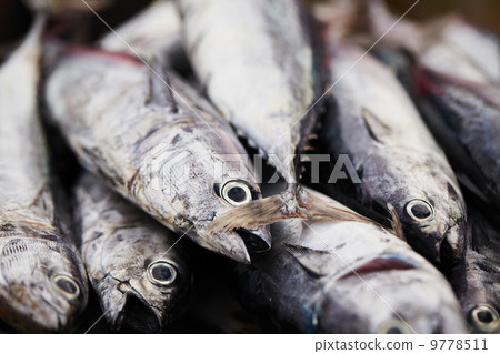 Fish market 9778511