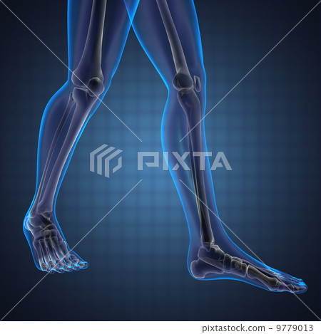 human radiography scan 9779013