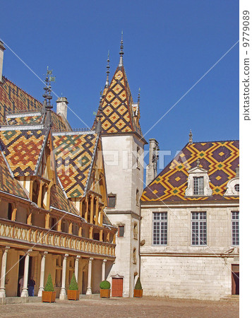 Famous hospice in Beaune. France, Burgundy  9779089