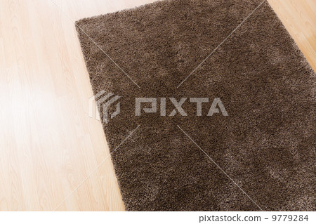 Brown carpet at home 9779284