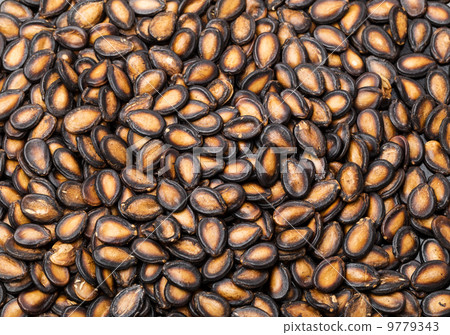 Watermelon seed in black 9779343