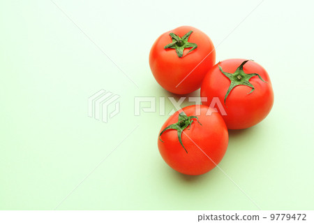 Tomato 9779472
