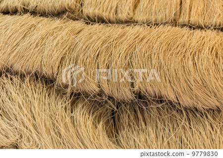 Korean glass noodles 9779830