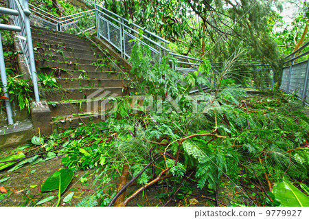 Destroy after typhoon 9779927