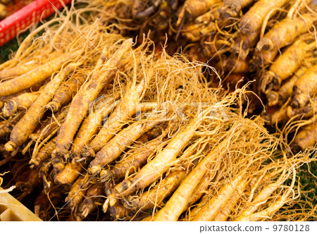Ginseng root stick 9780128