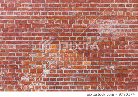 Brick wall 9780174