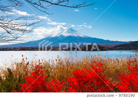 Mt. Fuji in autumn 9780190