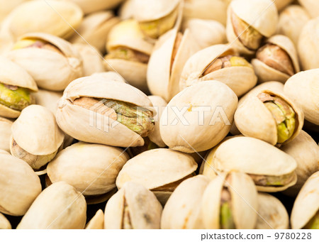 Group of Pistachio Group of Pistachio 9780228