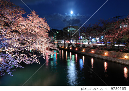 Lake biwa canal with sakura at night Lake biwa canal with sakura at night 9780365