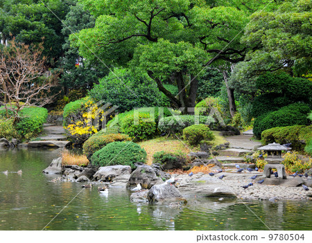 Garden in Japan 9780504